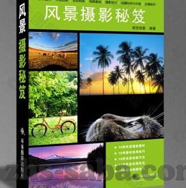 污的世界杯-污的世界杯，足球盛宴下的阴影